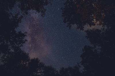 树看星星在晚上的时间
